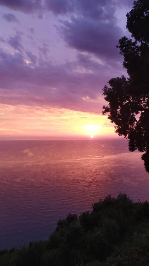 Apartments In Mylopotamos Dış mekan fotoğraf